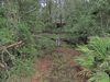 0 Jones Creek Rd photo
